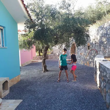 Shiraz * Kalamata
