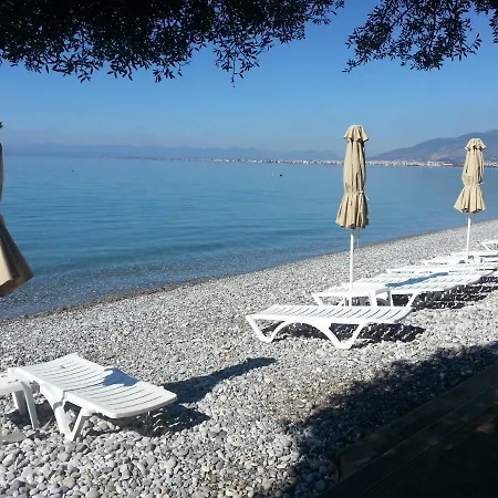 Shiraz * カラマタ