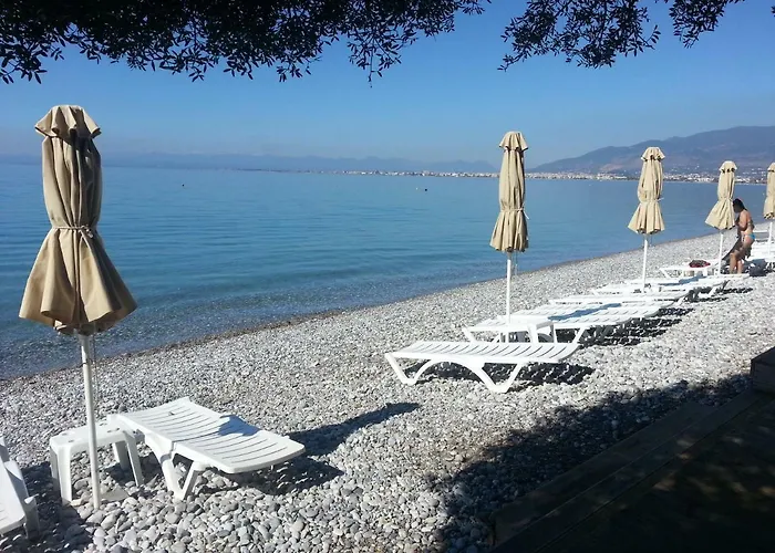 Shiraz * Καλαμάτα